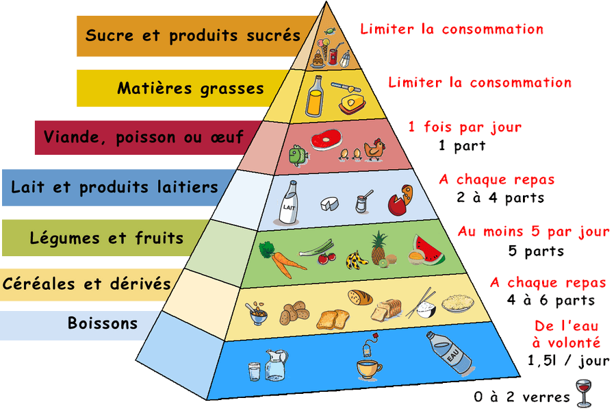 ancienne pyramide alimentaire